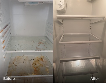 Before and After Refrigerator Cleaning - Deep Cleaning Edmonton by De-Classic Cleaners