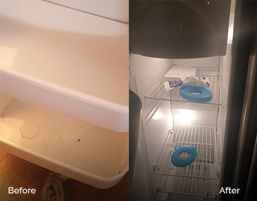 Cleaning Fridge Shelf - House Cleaners in Edmonton at De-Classic Cleaners